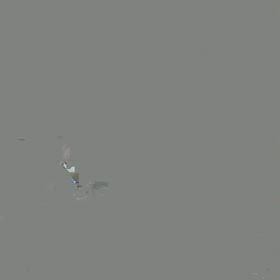 キセノン光＆メディセルの画像