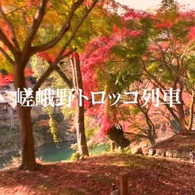 嵯峨野トロッコ列車の画像