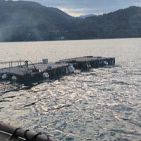 穏やかなの画像