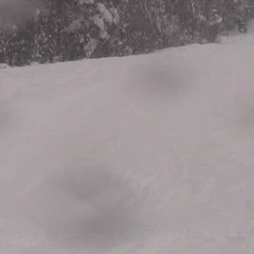 SIAの教師のコメントの画像