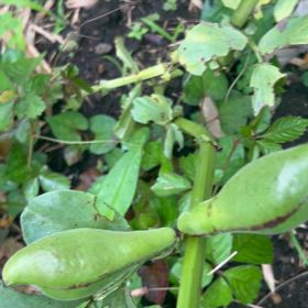 “何もしない”をする日の画像