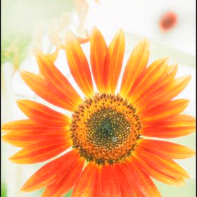 ハッピーフライデー　♡の画像