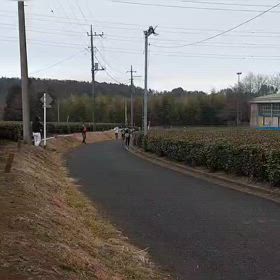 駅伝（坂頂点）⑥の画像