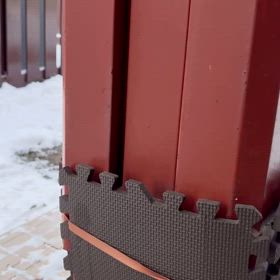 黒猫くんとすっかり仲良しの画像