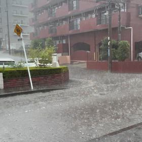 すごい，雨！の画像
