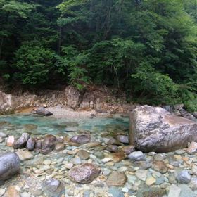 木曽イチの美渓にて良型イワナ 26cmの画像