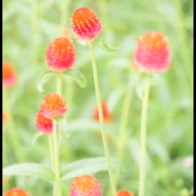 褒めてください♡   と、自ら求められる機会に感謝です♡の画像