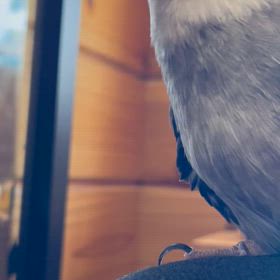 ・・・ちゅんの画像