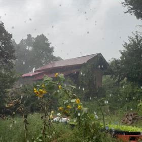 今日は予定通りに٩(^‿^)۶の画像