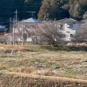 越生駅伝試走②の画像