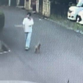 携帯しながら　犬の散歩の画像