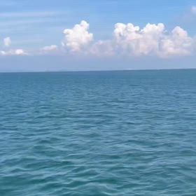 またまた次回に持ち越しですかね。の画像