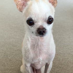 ボール遊びの画像