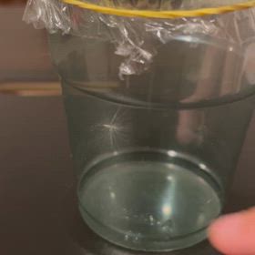 ケサランパサランの画像