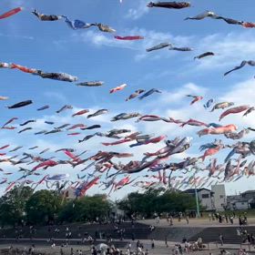 芥川桜堤の鯉のぼりの画像