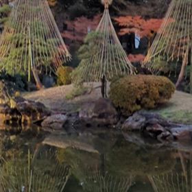 旧安田庭園のナイトガーデン！動画アリ❢の画像