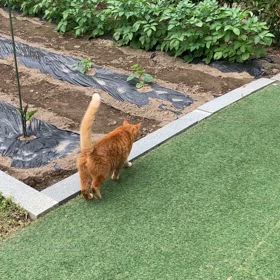 2024/05/18今週のハナの画像