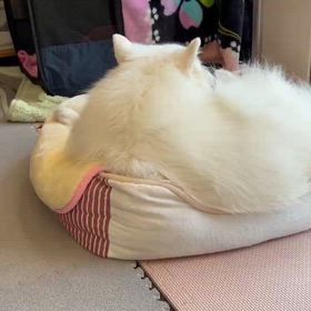 ちょっとしたことでの画像