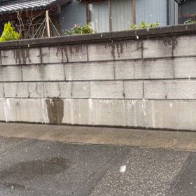 さめーよ。の画像