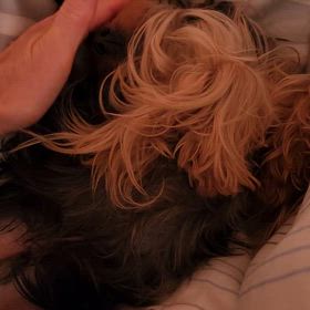 とりあえずの画像