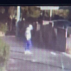 昼の外出で変な動き！Σ('◉⌓◉’)の画像