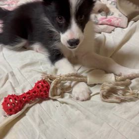 メイの成長Diaryの画像