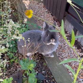 久しぶりの晴れ！そして月曜日スタート！！の画像