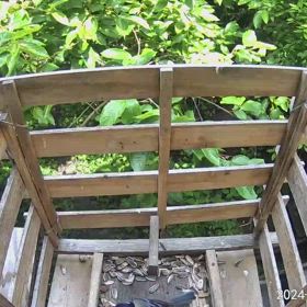 すぎぴたんの事件簿シーズン3　510話（シジュウカラ親子、ひとり立ちの練習）の画像