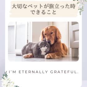 ペットが亡くなったら…の画像