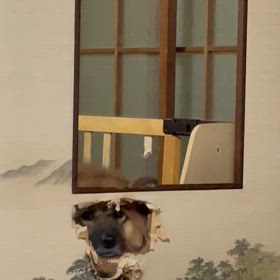 今日探すかなぁの画像