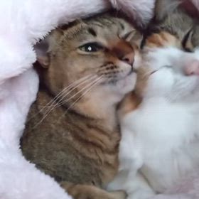 お母ちゃんの愚痴。の画像