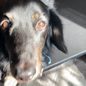 マロちゃん、何しょん。。。の画像