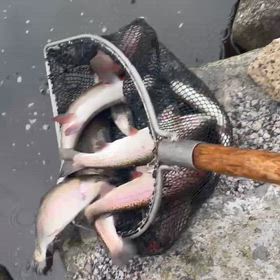 明日、11/24は空いていますの画像