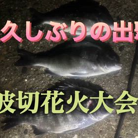 超久しぶりの出撃・波切花火大会の画像