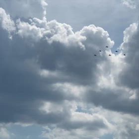 ブルーインパルスの画像