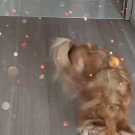 テレビがお好きの画像