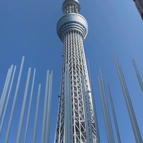 スカイツリー日和の画像