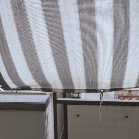 姿が見えない鳥の画像