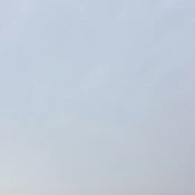 朝もはやくからの画像