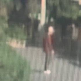 怪しい動き！Σ('◉⌓◉’)の画像