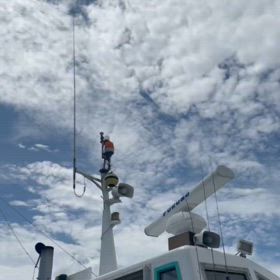 まだまだ行くぜ！！！の画像