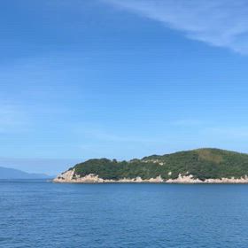 魚雷、嫌いの画像