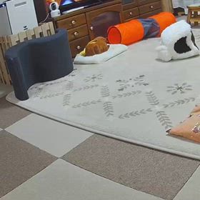 テンション上がる時♪(๑ᴖ◡ᴖ๑)♪の画像