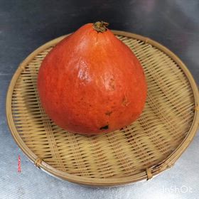 コリンキー♪の画像