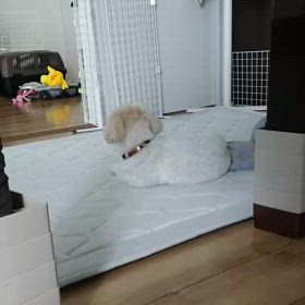 そろそろ、起きようか…の画像