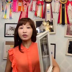 本日デビューの子猫登場！6/14 (土)12:15抱っこができるサイベリアンご紹介の画像