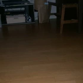 意思疎通⁉️の画像