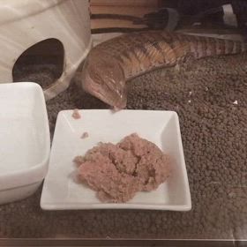 生後2ヶ月の画像