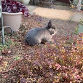 気持ちいい冬の朝の画像