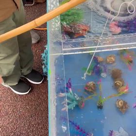 サザエ釣り上げたよの画像